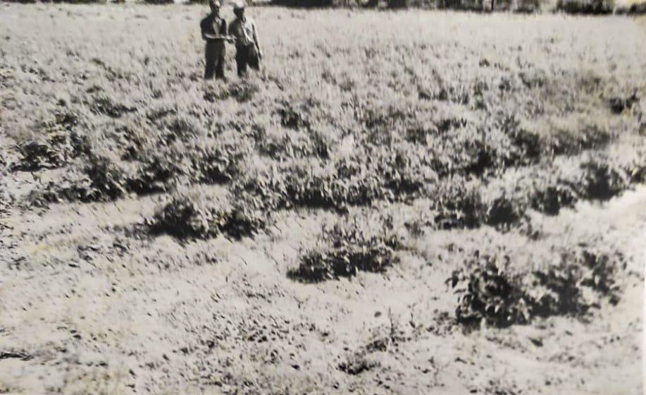 WhatsApp Image 2021-04-08 at 09.45.02