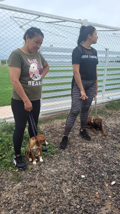 77e96174-2a80-47f3-838a-c60980086aee