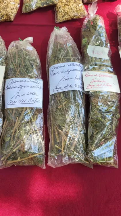 335852464_253285613692408_5543443400658555152_n