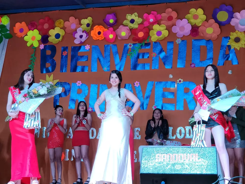 ff302699-3b93-48ac-906f-84823c7c38ca