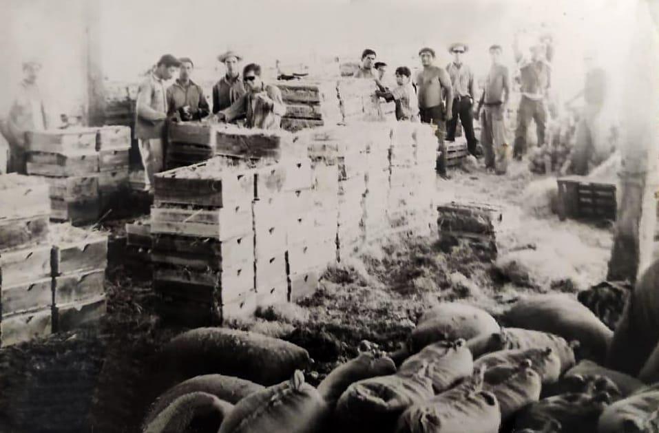 WhatsApp Image 2021-04-08 at 09.45.36