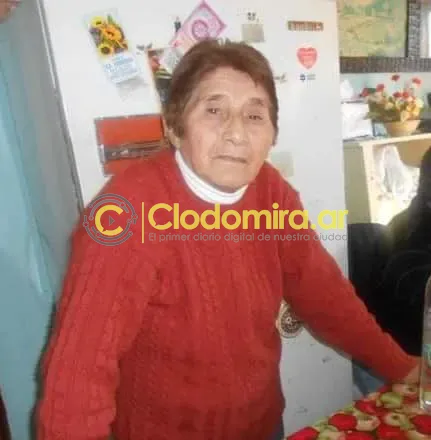 451567688_10232630668780025_7401206104614081468_n