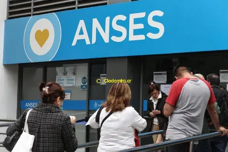 anses-dafne-gentinetta-1-