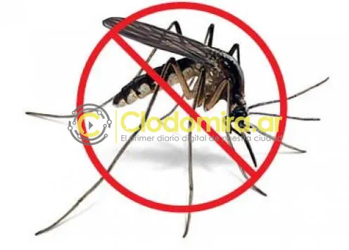 como_prevenir_la_chikungunya_29184_600