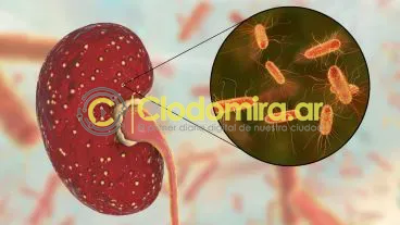 movidasana_x1x_1.jpg_529145118