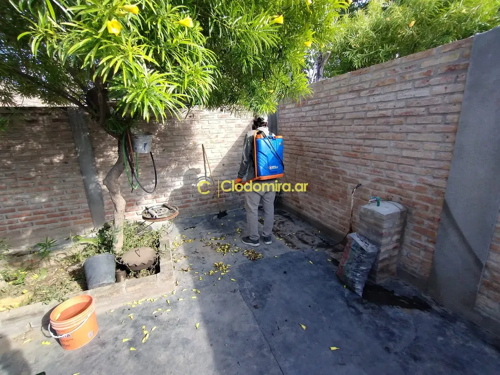 420586212_769959295159878_5068196422610369124_n