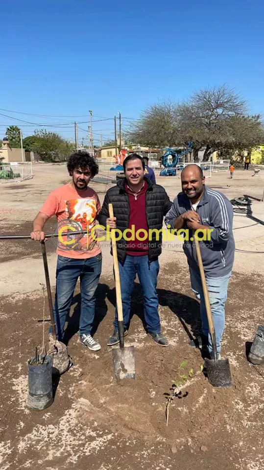 plantas1