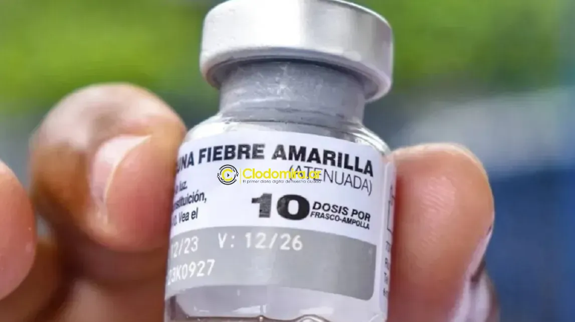 fiebre