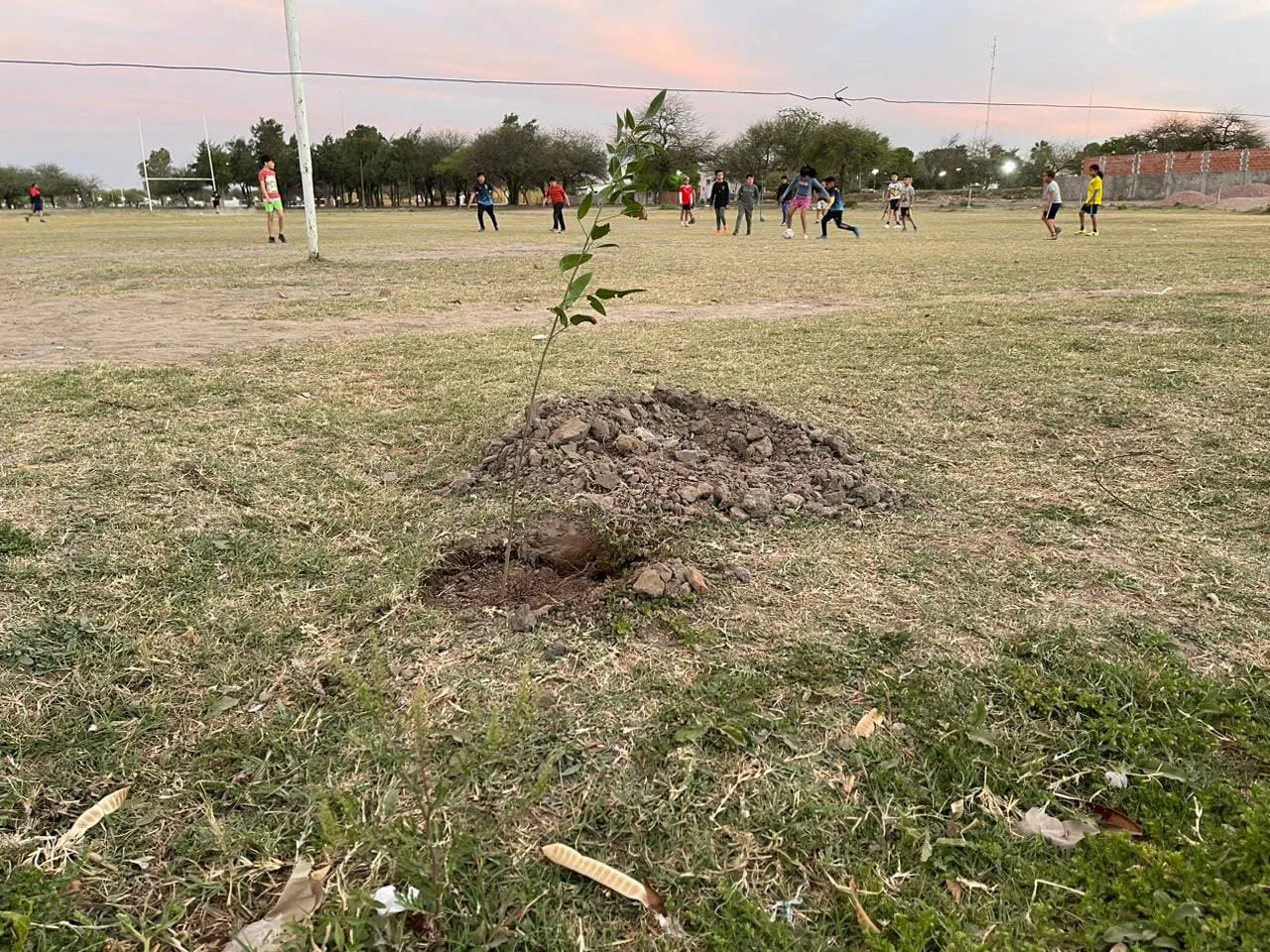 458760744_919032140252592_2472569975397949223_n