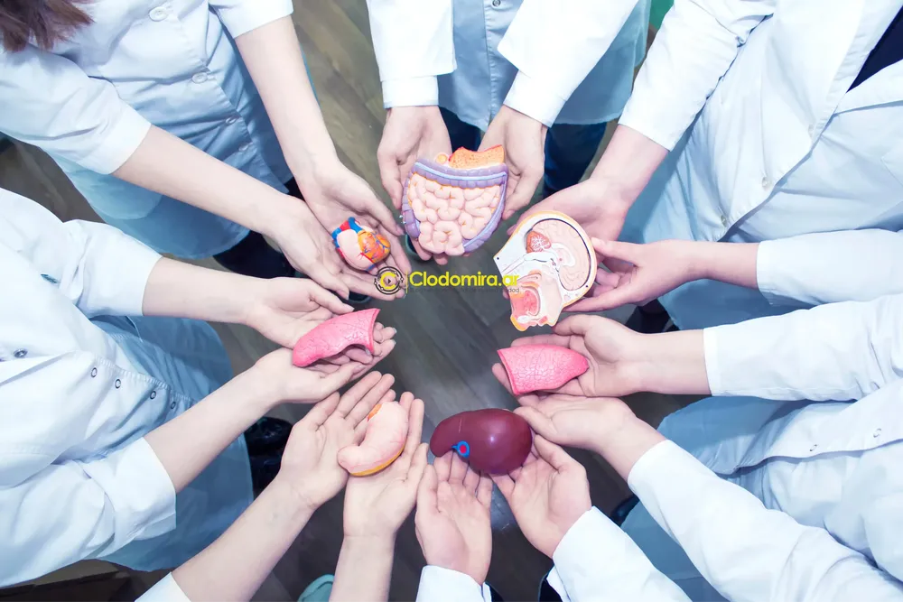 shutterstock_1075250543