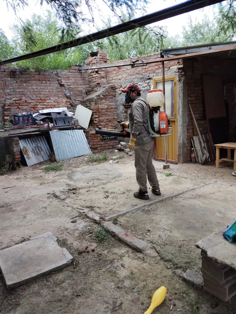 434259868_812992090856598_6309626933284946012_n