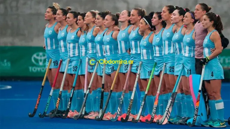 1010x567_leonas-423679-152715-768x431