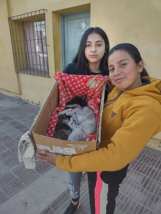 459272606_922217616600711_7541495184422801830_n