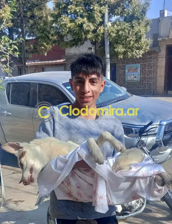 454760132_900887668733706_7213043662191387437_n