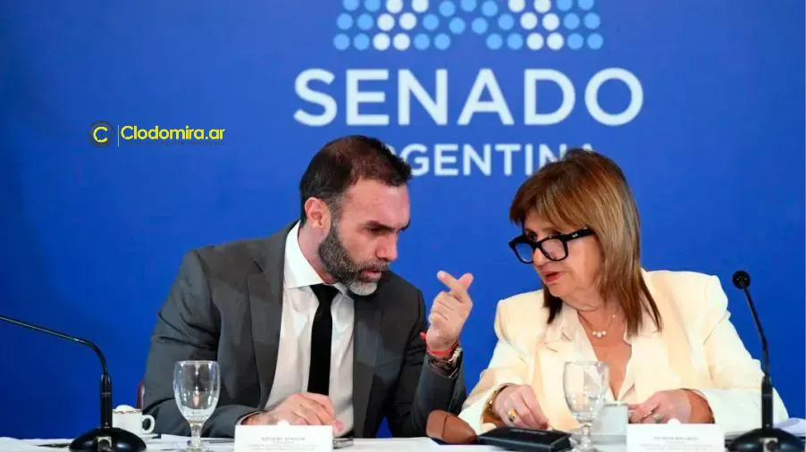 1010x567_senado-bullrich-542944-070424