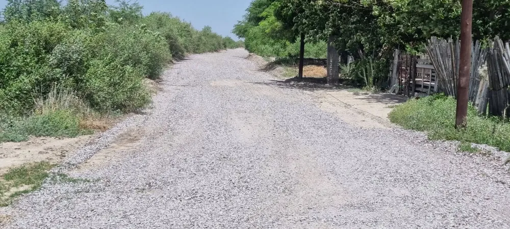 587407436_122186816900557025_6587607257627324235_n