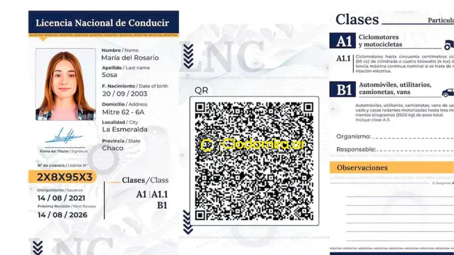 1010x567_nueva-licencia-conducir-digital-517810-121302