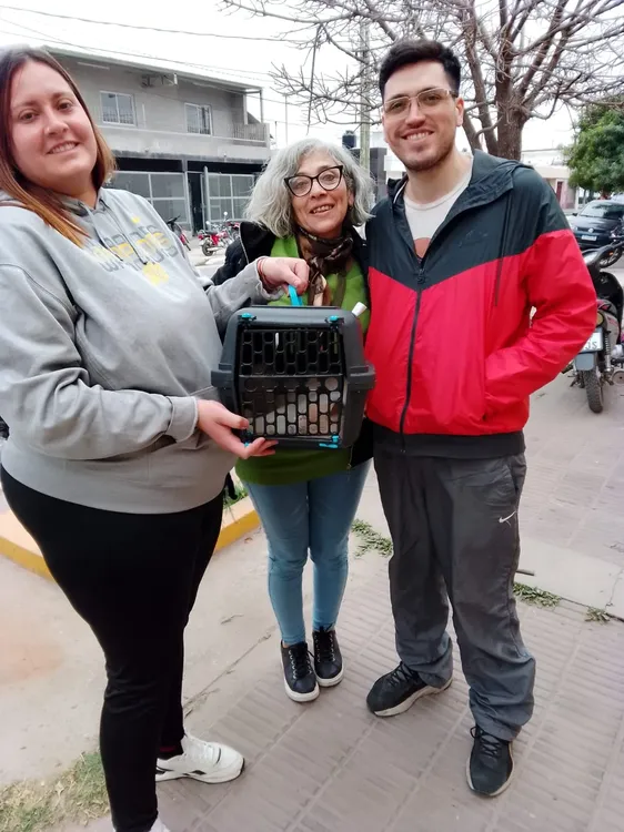 454497660_900887695400370_4876711875910214970_n