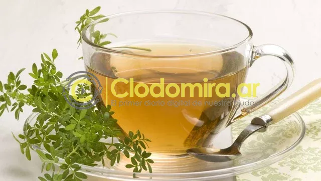 la-ruda-esta-en-la___iov4Ka9OV_640x361__1