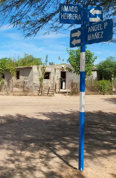 426764753_784402597048881_1633778012447345102_n