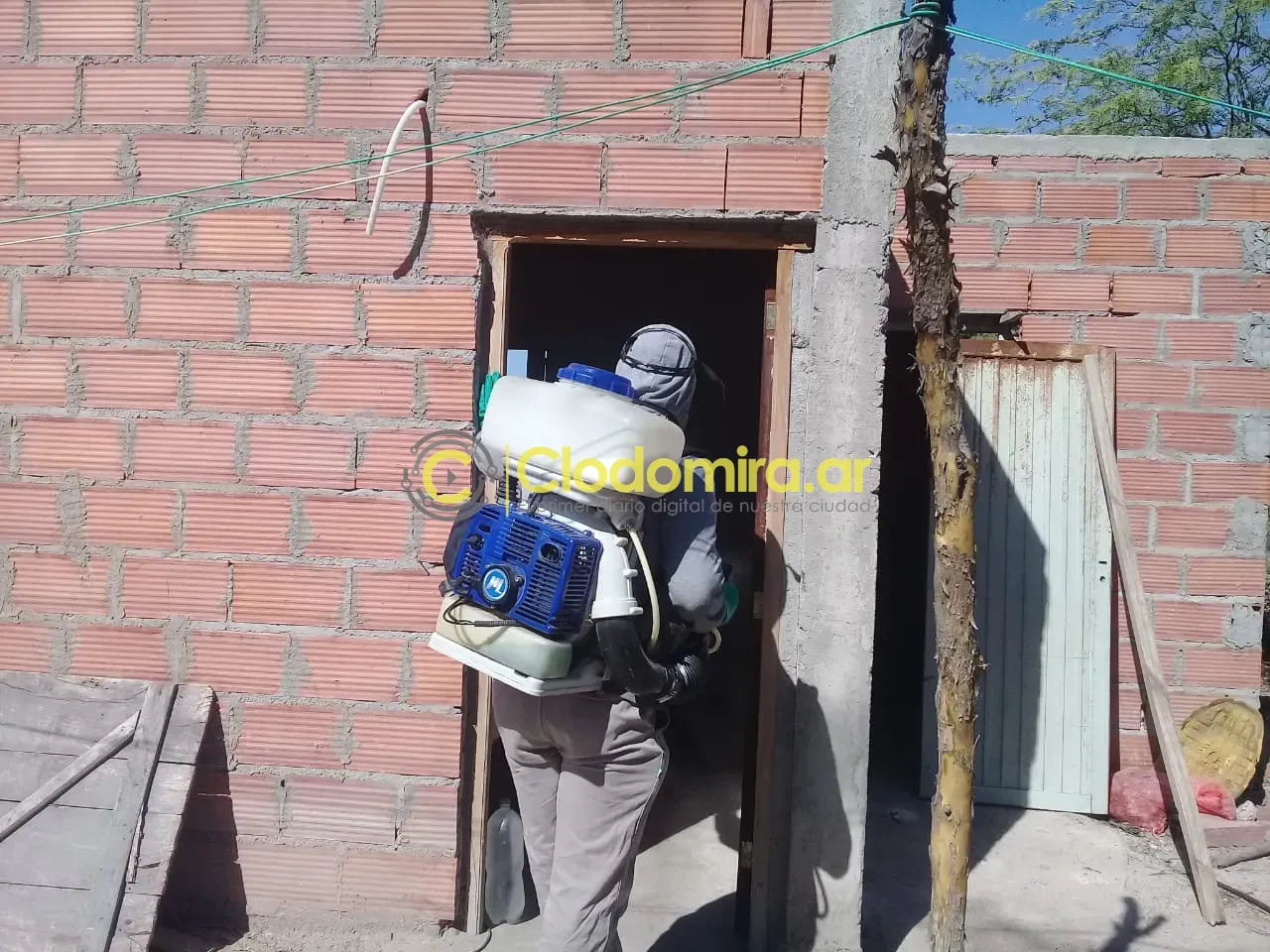 multimedia.normal.ba7574dcf949a361.NDIzNzc5MzIyXzc3ODMxNzcwNDMyNDAzN181MTE1MTFfbm9ybWFsLndlYnA=