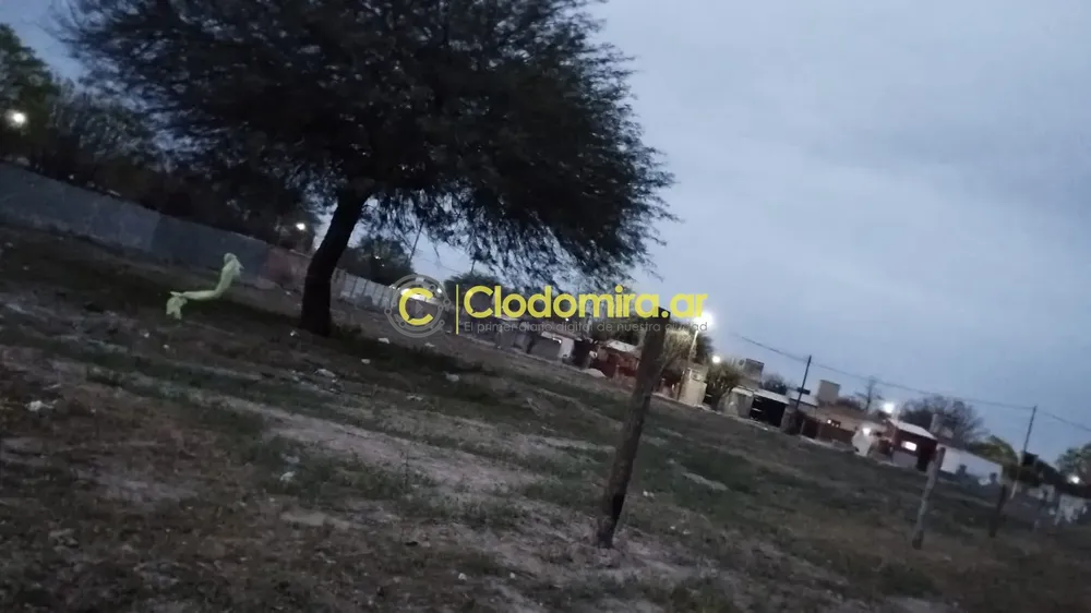 bbca0ea9-6810-493a-848b-57f731433aa9